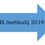 The Pálfi István Regional Development Foundation 2019