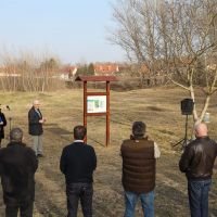 Within the framework of the “Green Arrabona” project, the Herb Garden in Győr was renewed